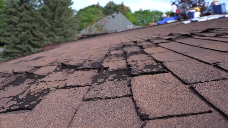 Waterproofing in St Anne, IL