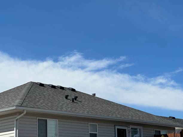 Best Roof Moss and Algae Removal  in St Anne, IL